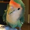 ジャックック24