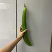 クックE5FVWV☆