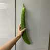クックE5FVWV☆