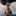 salt_0911 salt_0911