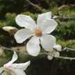 kensan___