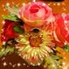 love☆love