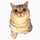 シェフにゃんこ