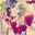 わかりん0808