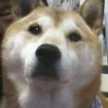 いーちやん☆