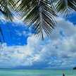 okihawaian