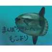 まんぼうあぜる