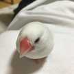 簡単がモットー