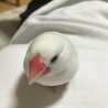 簡単がモットー