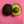 ＊avocado＊