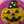 クックSQLMOB☆