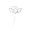 Cony◎