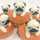Curry☆Pug
