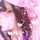 蜜蜂° 蜜蜂°