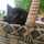 くろねこ先生