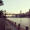 ココinNYC