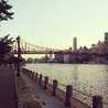 ココinNYC