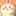 サイチョン サイチョン