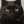 猫ひなこ