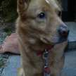 ★ｙｕｋｉｕｓａ★