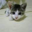 くまぃん