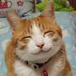 ☆cuty☆
