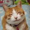 ☆cuty☆