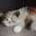 katze☆