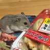 ♡チッチ♡