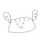 米娘(こめこ) 米娘(こめこ)