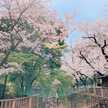 はなこ1000