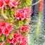 ぴ〜すけ✿