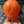 ｈａｌｍｏ