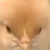 ずっと反抗期