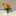 えぷろんhide77 えぷろんhide77