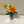 えぷろんhide77