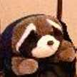 ぶーこ