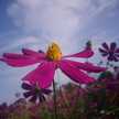 ☆MEGUMI☆