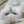 こゆき猫
