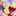 のりこ523 のりこ523