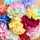 のりこ523 のりこ523