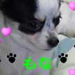EXILE LOVE
