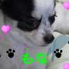 EXILE LOVE