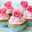 Ｙ♡kitchen