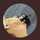 Sachi_ty