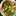 SSB_558 SSB_558