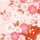 ゆゆ☆ミ ゆゆ☆ミ