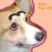 ぽめろ
