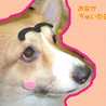 ぽめろ