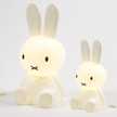 Miffy12